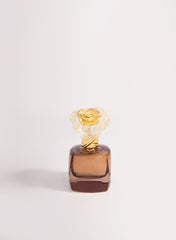 Opulent Modesty (50ml) - Rose Rossa - MHGboutique - perfumes - fragrances - oud - online shopping - free shipping - top perfumes - best perfumes